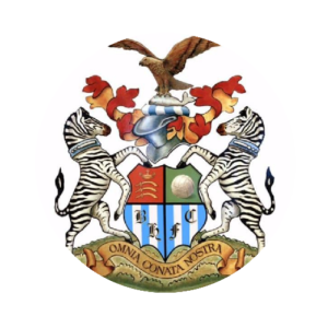 Brook House Youth FC is a grassroots football club based on Kingshill Avenue in Hayes, West London. The club provides young players with opportunities to develop their skills in a structured, supportive and inclusive environment.