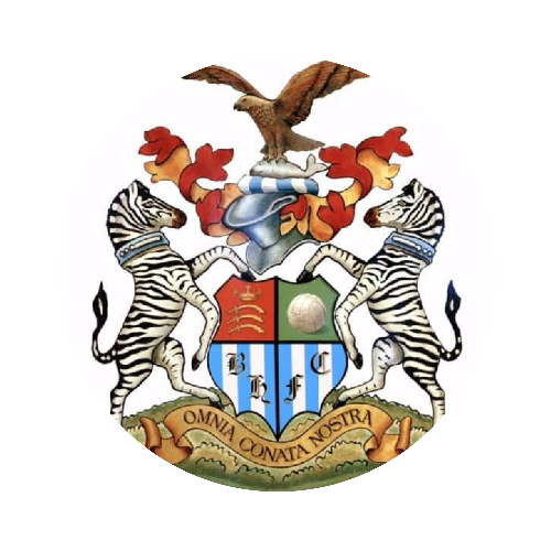 Brook House Youth FC is a grassroots football club based on Kingshill Avenue in Hayes, West London. The club provides young players with opportunities to develop their skills in a structured, supportive and inclusive environment.